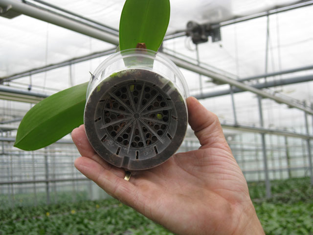 Wij volgen de ontwikkelingen in de tuinbouw op de voet.